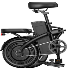 G11| 650W motor| 48V 15Ah|10*4.0inch|20MPH|40miles