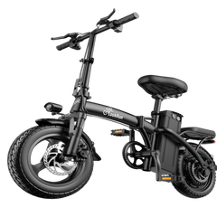 G11| 650W motor| 48V 15Ah|10*4.0inch|20MPH|40miles