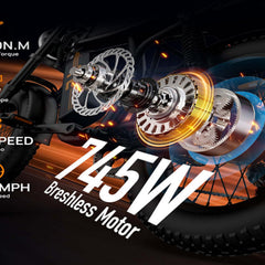 T2 Electric Fat Bike|745W motor|48V 15.6Ah|20*4.0 inches|100Miles|20MPH