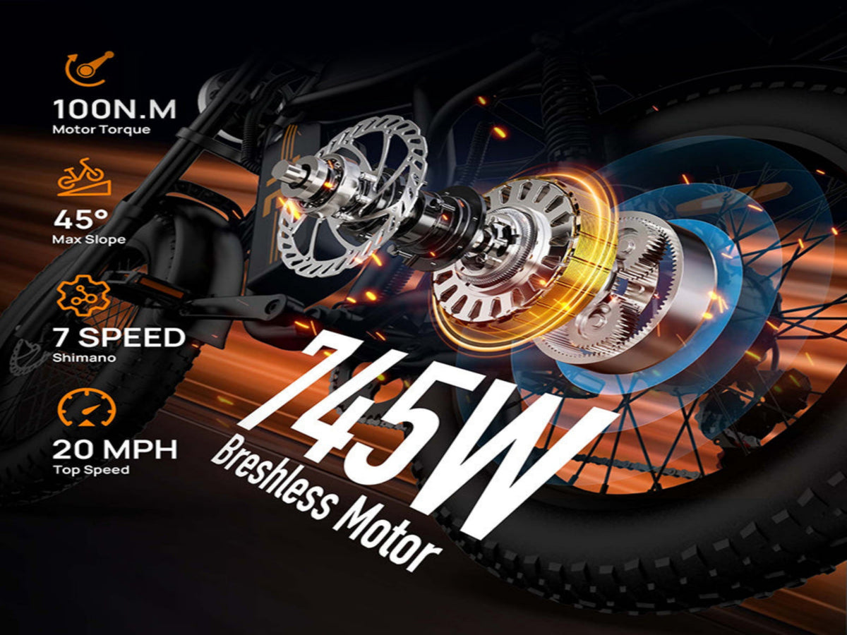 T2 Electric Fat Bike|745W motor|48V 15.6Ah|20*4.0 inches|100Miles|20MPH