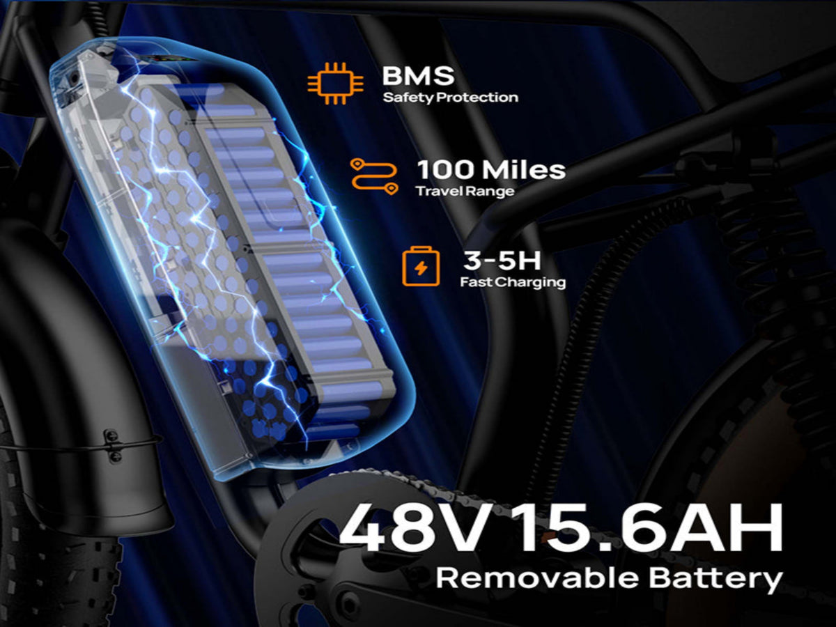 T2 Electric Fat Bike|745W motor|48V 15.6Ah|20*4.0 inches|100Miles|20MPH