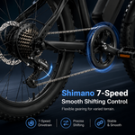 K10 Fat tire Mountain E-Bikes