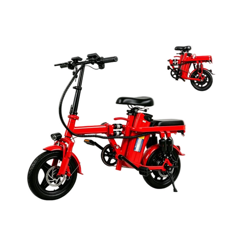 Foldable Electric Bike for Adults, 800W Peak Motor,20MPH Ebike, 30 Miles Range, 48V15Ah RemovableBattery, 3 Riding Modes