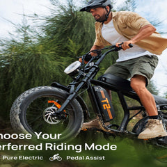 T2 Electric Fat Bike|745W motor|48V 15.6Ah|20*4.0 inches|100Miles|20MPH