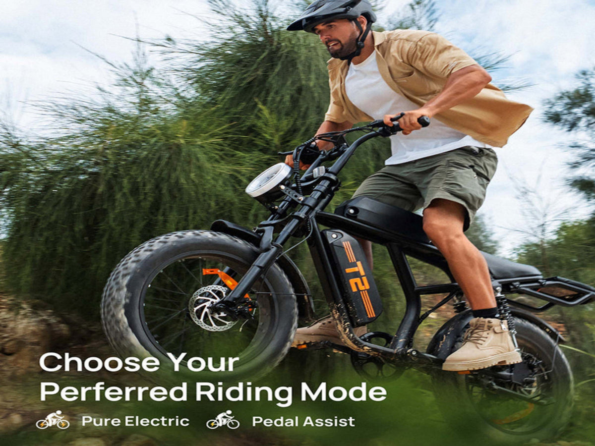 T2 Electric Fat Bike|745W motor|48V 15.6Ah|20*4.0 inches|100Miles|20MPH