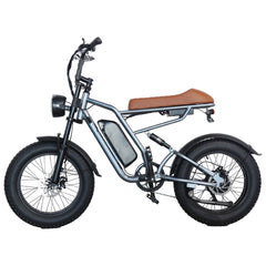 M1 Electric Bike|1250W motor|48V 13Ah|25Mph|50KM|20 inch
