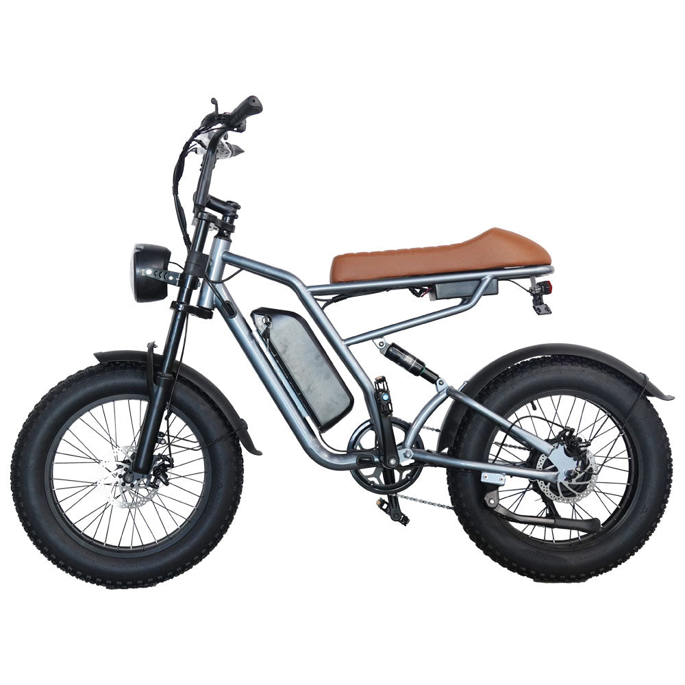 M1 Electric Bike|1250W motor|48V 13Ah|25Mph|50KM|20 inch