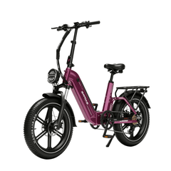 EF1 Folding E-Bikes |750W motor|  48V/22.5AH | 32 Mph