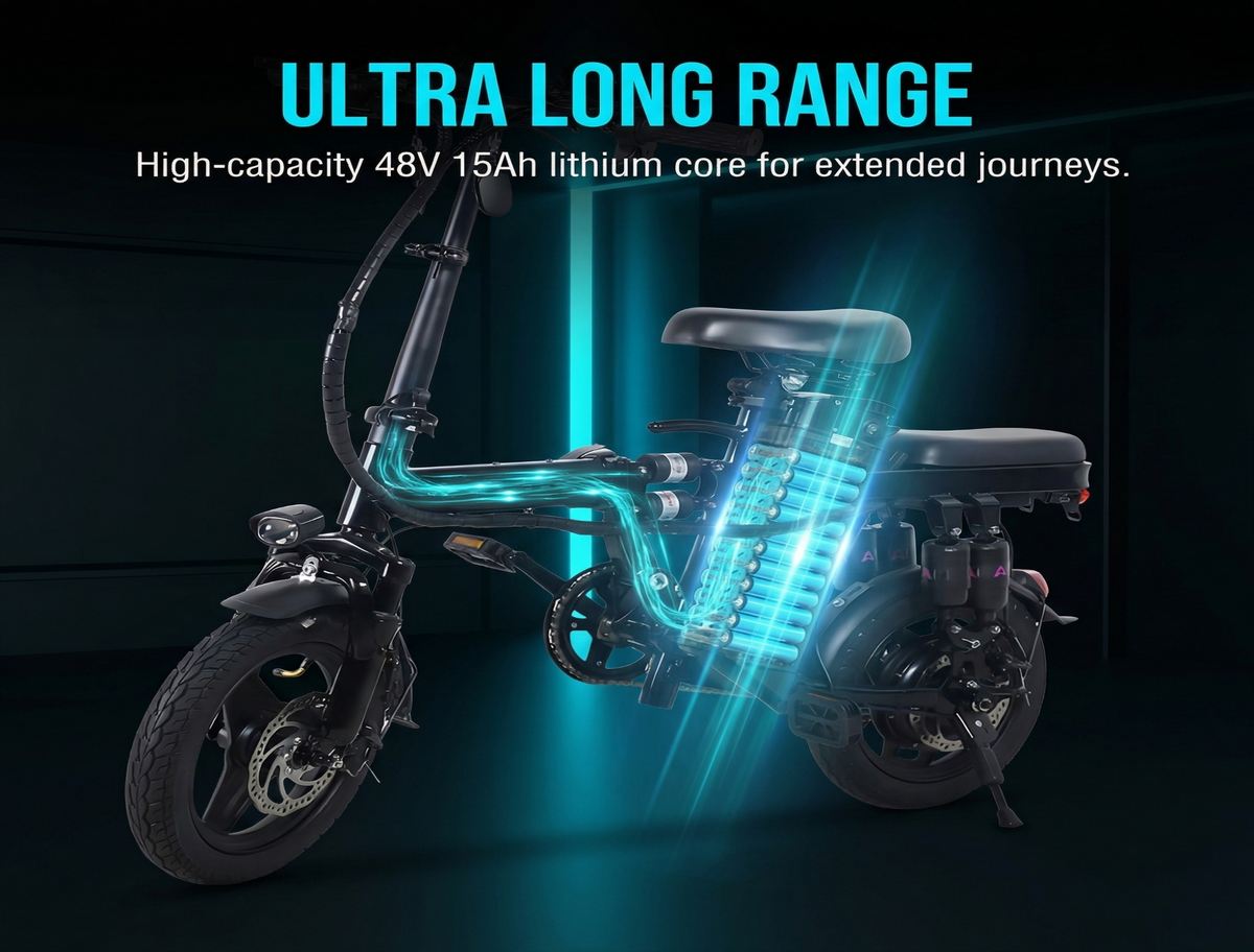 A10 Folding E-Bikes|800W motor|14-inch | 48V 15Ah