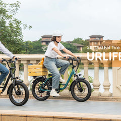 E20 Electric Bike|745W Motor|48V 13Ah |20*3.0 inches|20MPH| 80miles