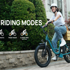 E20 Electric Bike|745W Motor|48V 13Ah |20*3.0 inches|20MPH| 80miles