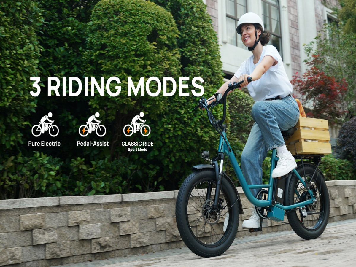 E20 Electric Bike|745W Motor|48V 13Ah |20*3.0 inches|20MPH| 80miles