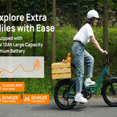 E20 Electric Bike|745W Motor|48V 13Ah |20*3.0 inches|20MPH| 80miles