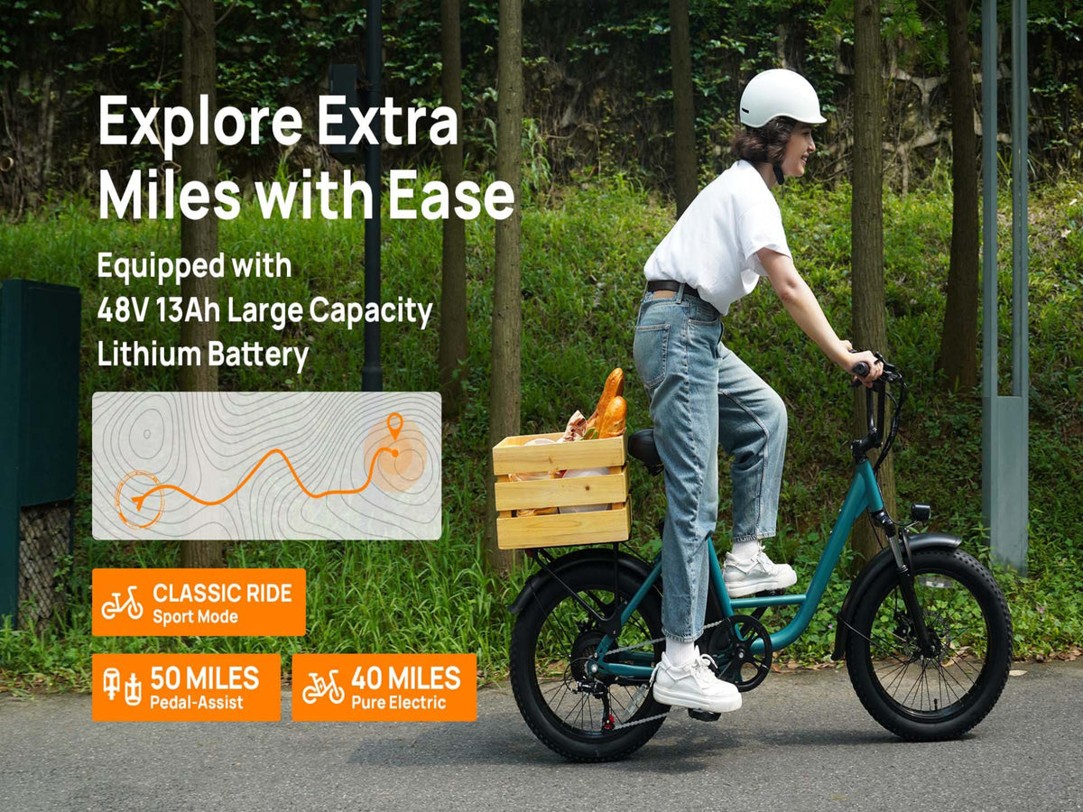 E20 Electric Bike|745W Motor|48V 13Ah |20*3.0 inches|20MPH| 80miles