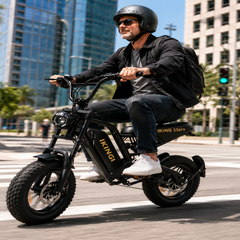 216mini Electric Bike|1000W motor|48V/15AH |20-40KM|15.5Mph|16*4.0inch
