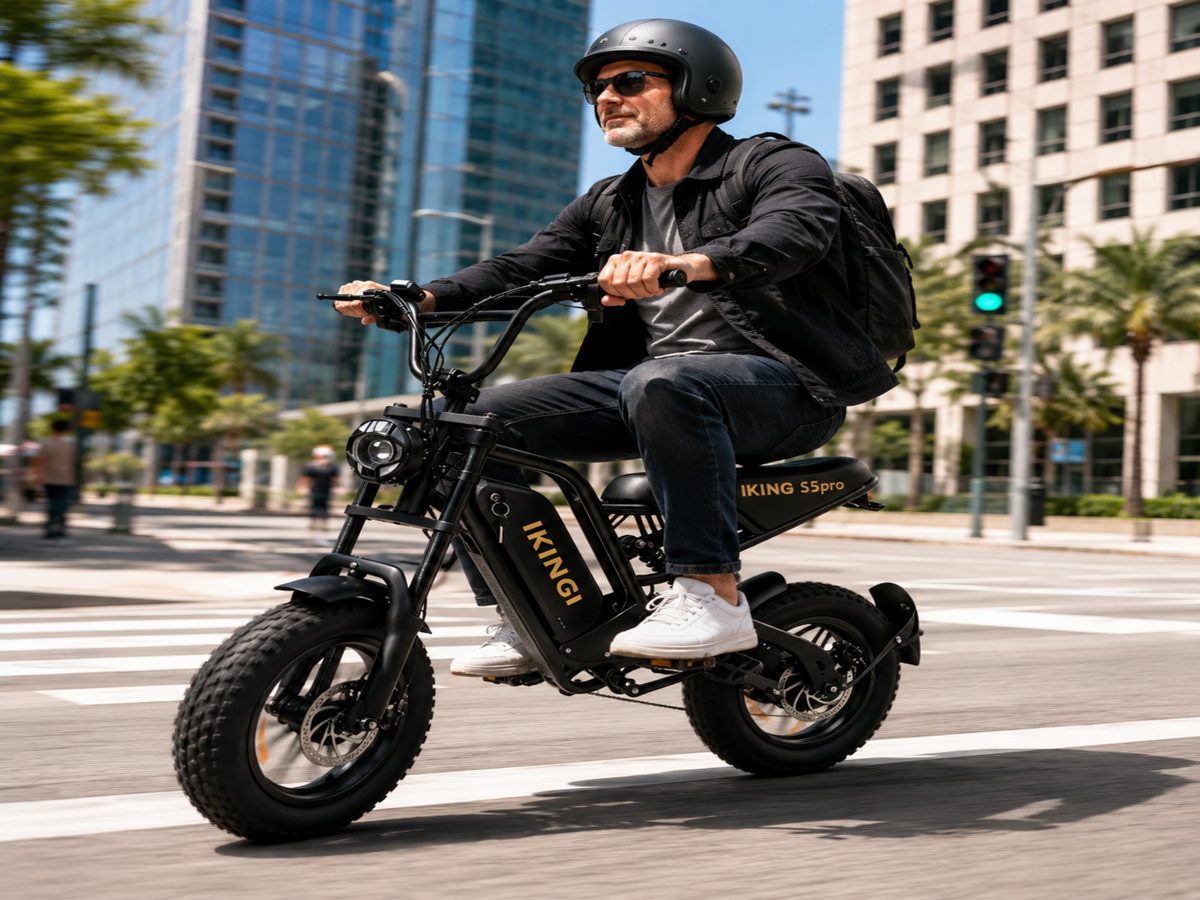 216mini Electric Bike|1000W motor|48V/15AH |20-40KM|15.5Mph|16*4.0inch