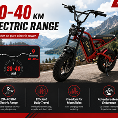 216mini Electric Bike|1000W motor|48V/15AH |20-40KM|15.5Mph|16*4.0inch