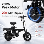 A10 750W Foldable Electirc Bike