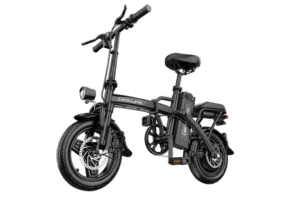 G11 500W motor 48V 10A 14inch 19mph