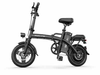 G11 500W motor 48V 10A 14inch 19mph