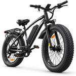 EB26 26inch 750W Fat Mountain Ebike