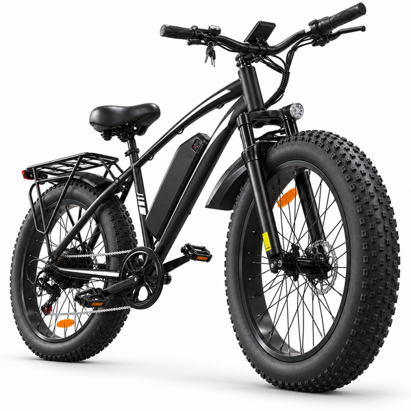 EB26 26inch 750W Fat Mountain Ebike