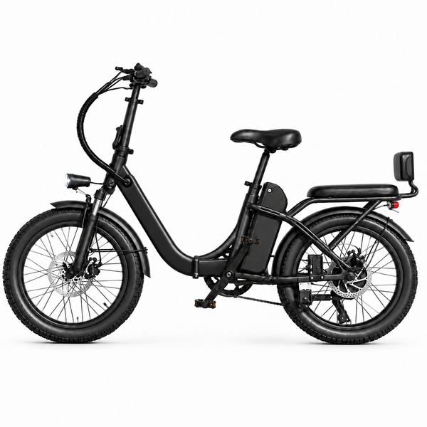 SE 750W Fat tire Ebike for adult