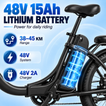 SE 750W Fat tire Ebike for adult