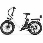 SE 750W Fat tire Ebike for adult