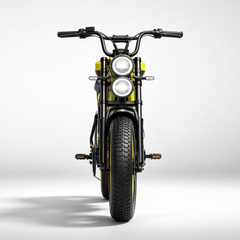 ES2D Electric Fat-Tire E-Bike |1500W*2 motor|48V 45Ah|32Mph|200Miles|20*4.0 inch