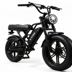 G60mini Electric Bike | 350W motor|36V 15AH|20miles|32KM/H|16 inch