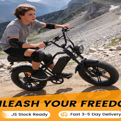 G60mini Electric Bike | 350W motor|36V 15AH|20miles|32KM/H|16 inch