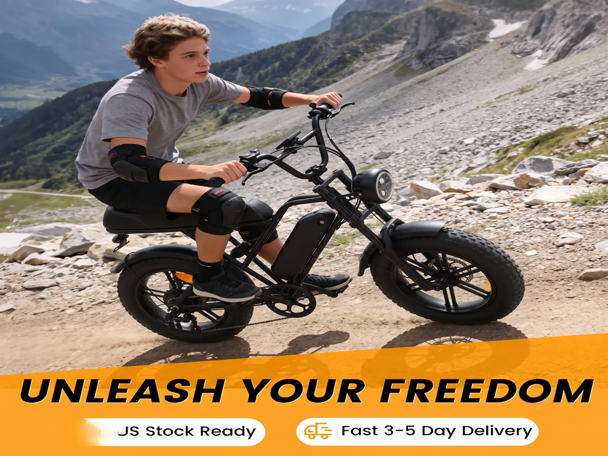 G60mini Electric Bike | 350W motor|36V 15AH|20miles|32KM/H|16 inch