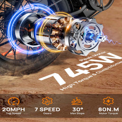 E20 Electric Bike|745W Motor|48V 13Ah |20*3.0 inches|20MPH| 80miles