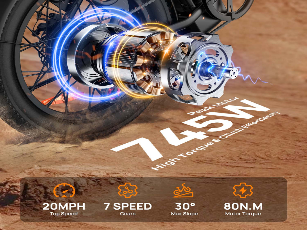E20 Electric Bike|745W Motor|48V 13Ah |20*3.0 inches|20MPH| 80miles