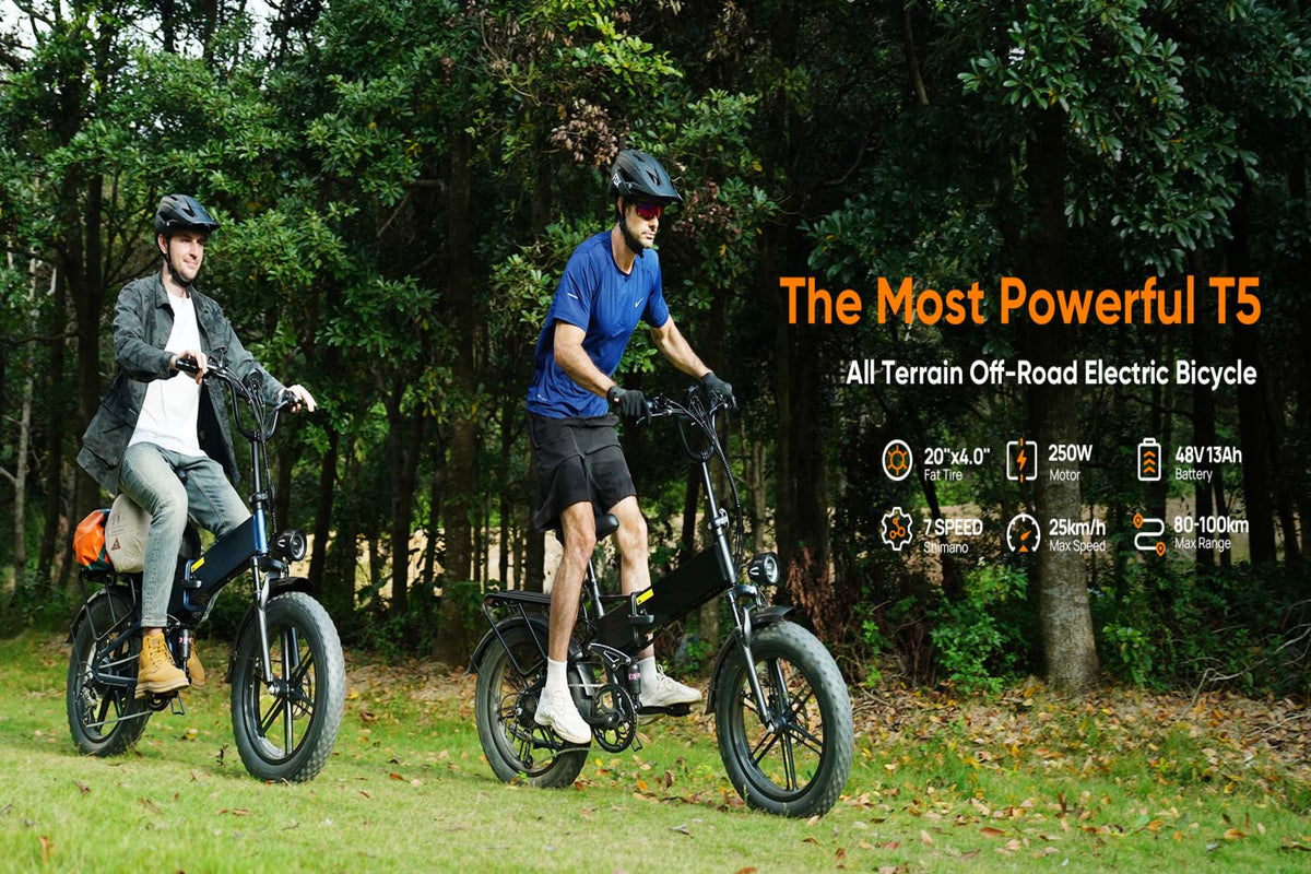 T5 Folding E-Bikes|250W motor|48V 13Ah|20*4.0 inches|25 km/h|80 miles