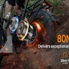 T5 Folding E-Bikes|250W motor|48V 13Ah|20*4.0 inches|25 km/h|80 miles