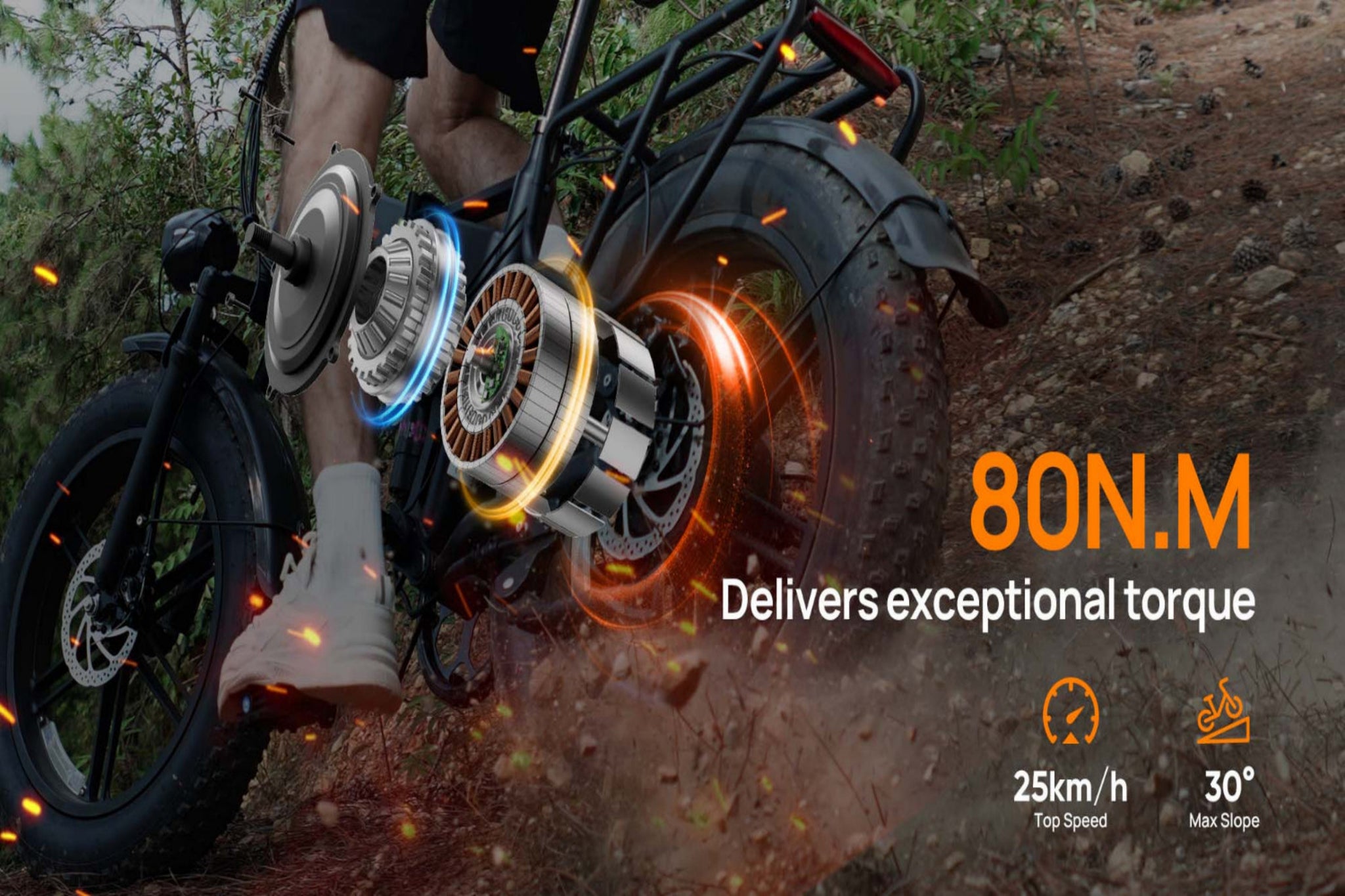 T5 Folding E-Bikes|250W motor|48V 13Ah|20*4.0 inches|25 km/h|80 miles