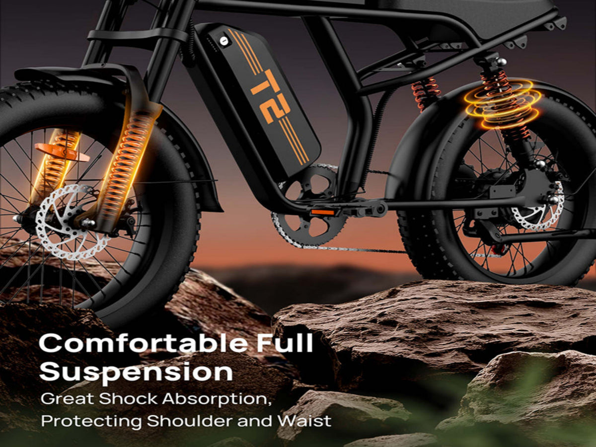 T2 Electric Fat Bike|745W motor|48V 15.6Ah|20*4.0 inches|100Miles|20MPH