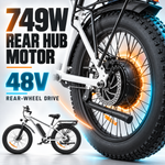EB26 26inch 750W Fat Mountain Ebike