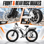 EB26 26inch 750W Fat Mountain Ebike